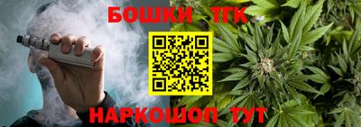 индика Ирбит