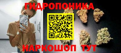 индика Ирбит