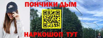 индика Ирбит