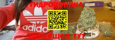 прущие крисы Ипатово