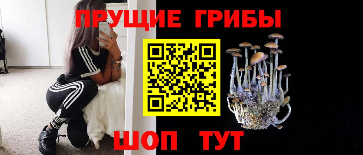 Галлюциногенные грибы мухоморы Дятьково