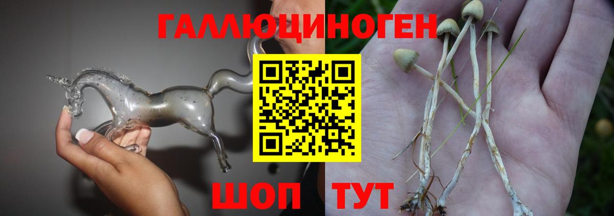 сколько стоит  Вход с VPN  Дятьково  Галлюциногенные грибы Magic Shrooms 